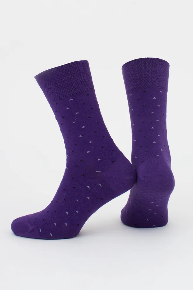 Шкарпетки чоловічі високі з малюнком MS3 BASIC 2401 GIULIA (violet indigo), фіолетовий