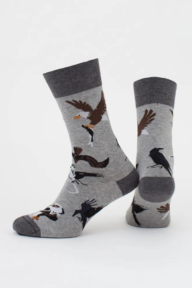 Мужские носки набор из 2 пар (орлы и полоски) MS3 FASHION SET 2 (пак х2) Giulia (dark grey melange/black), серый/черный