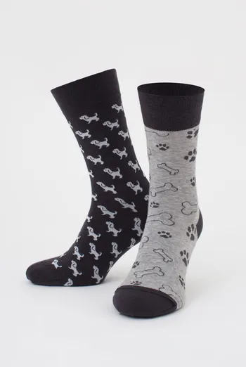 Чоловічі шкарпетки набір з 2 пар (собачки та кісточки) MS3 FASHION SET 3 (пак х2) Giulia (iron/light grey melange), сірий/світло-сірий