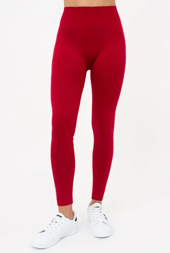Безшовні спортивні легінси з мікрофібри LEGGINGS 02 Giulia (winery), бордовий