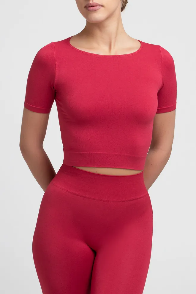 Топ з коротким рукавом CROP T-SHIRT Giulia (winterberry), червоний
