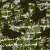camouflage khaki