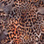 leopard grey 