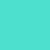 neo mint 