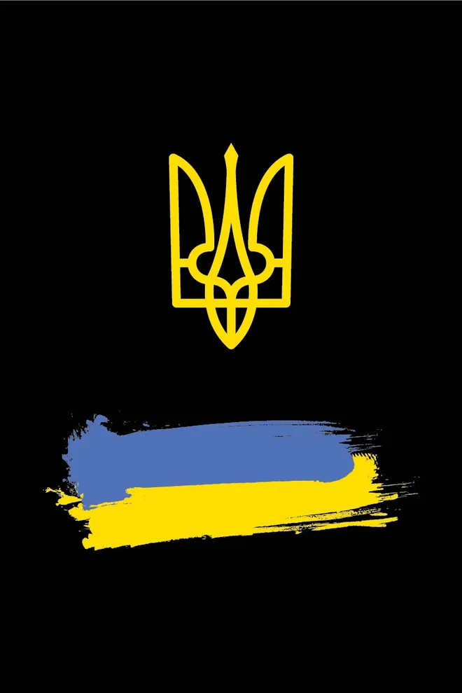 Футболка з патріотичною символікою T-SHIRT MEN UNIQUE PRINT 4601/010, black M00021 (чорний)