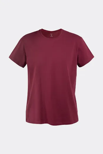 Футболка мужская G-MAN 4601/010 Giulia (maroon), бордовый Футболка мужская G-MAN 4601/010 Giulia (maroon), бордовый