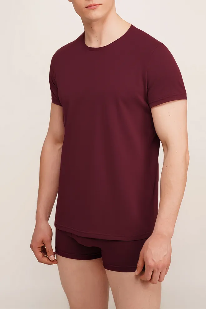 Футболка мужская G-MAN 4601/010 Giulia (maroon), бордовый