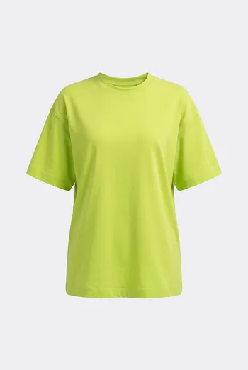 Футболка оверсайз T-SHIRT BASIC 4825/010 Giulia (apple green), зеленый Футболка оверсайз T-SHIRT BASIC 4825/010 Giulia (apple green), зеленый