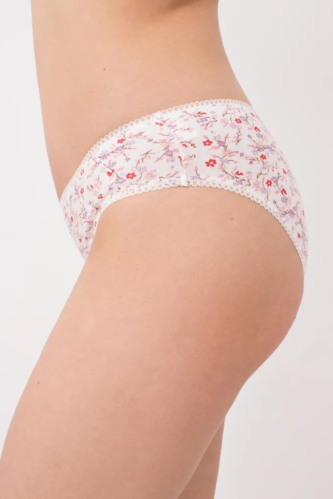 Женские трусы слипы Amasing 2301/60 Giulia (milk/flower)