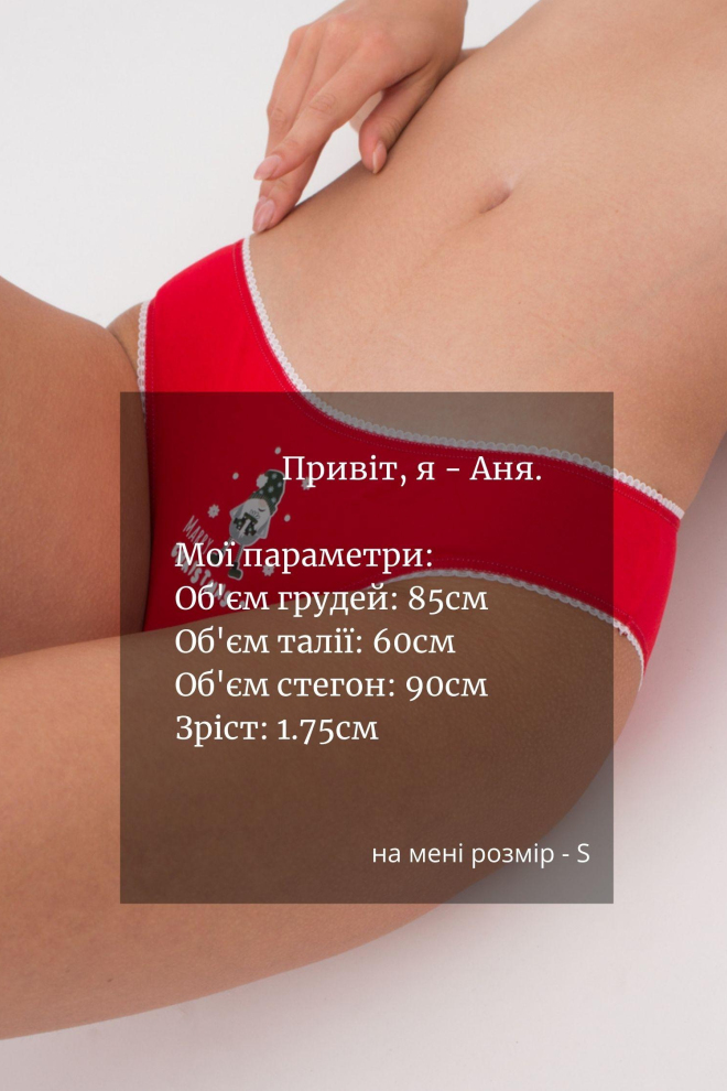 Жіночі труси сліпи Basic print 2301/60 Giulia (red/gnome)