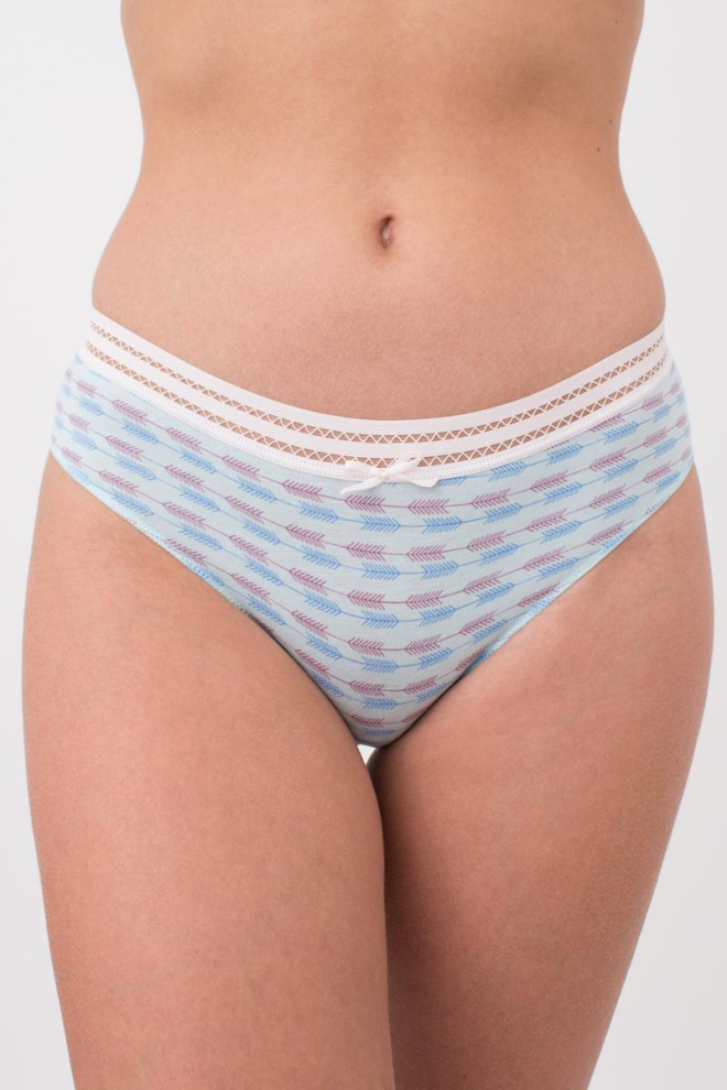 Жіночі труси сліпи Cotton print 2301/06 Giulia (blue arrows)