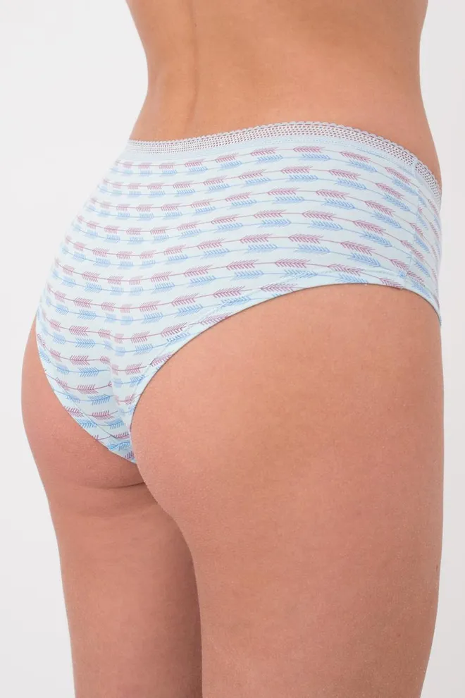 Женские трусы слипы Cotton print 2602/06 Giulia (blue arrows)