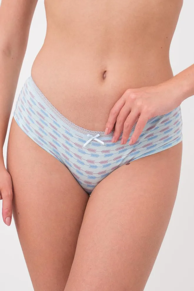 Женские трусы слипы Cotton print 2602/06 Giulia (blue arrows)