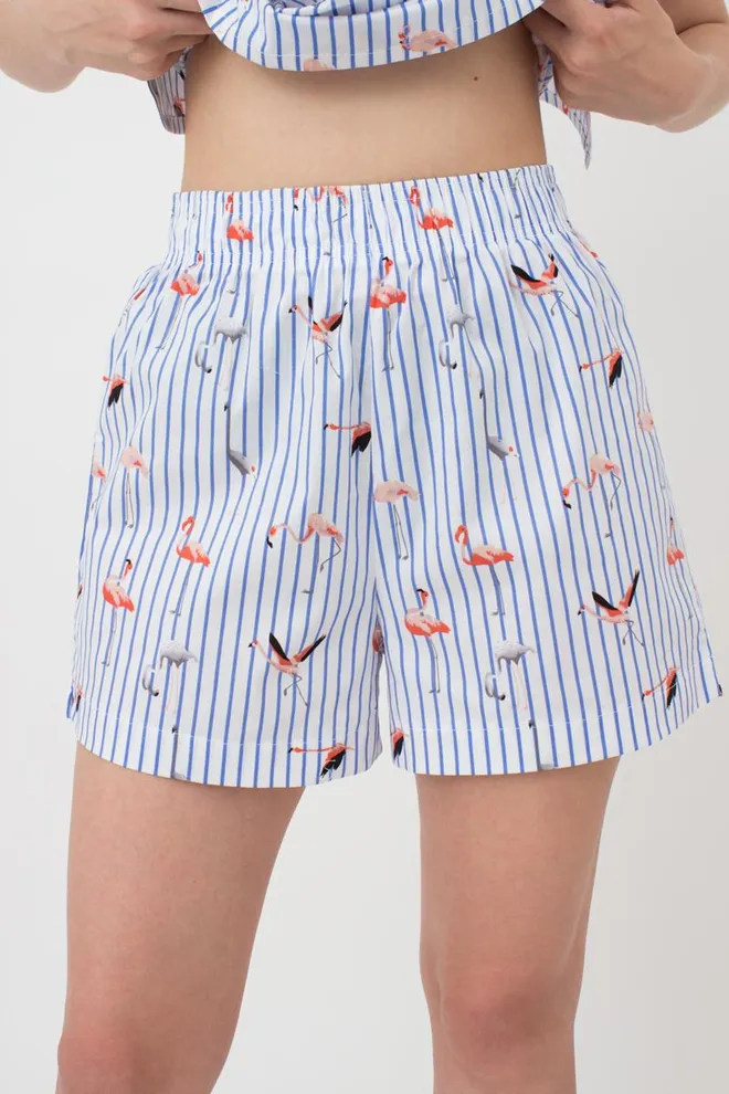 Женские хлопковые шортики Flamingo 4212/010 Giulia (blue stripe)