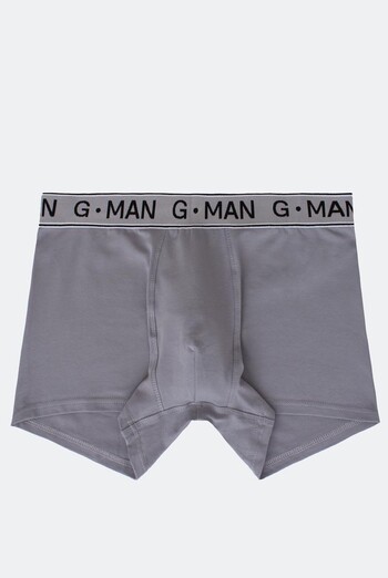 Чоловічі труси боксери віскоза G-man 20401/50 Giulia (grey)
