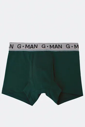 Мужские трусы боксеры вискоза G-man 20401/50 Giulia (khaki) Мужские трусы боксеры вискоза G-man 20401/50 Giulia (khaki)