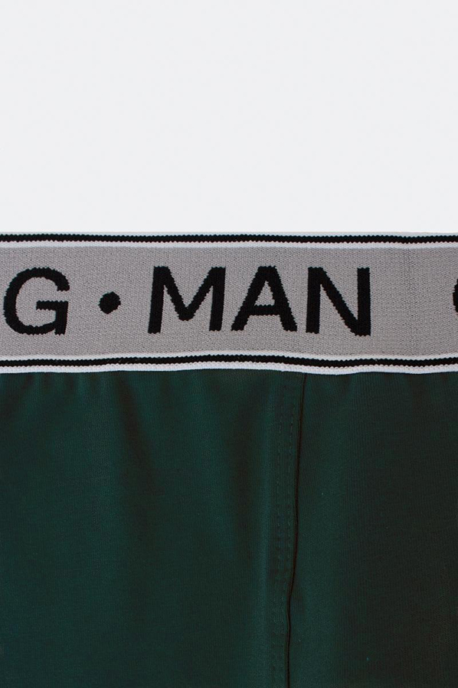 Мужские трусы боксеры вискоза G-man 20401/50 Giulia (khaki) Мужские трусы боксеры вискоза G-man 20401/50 Giulia (khaki)