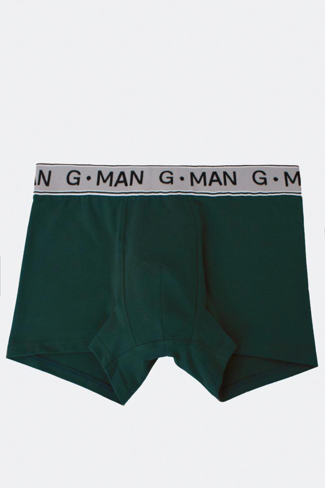 Чоловічі труси боксери віскоза G-man 20401/50 Giulia (khaki)
