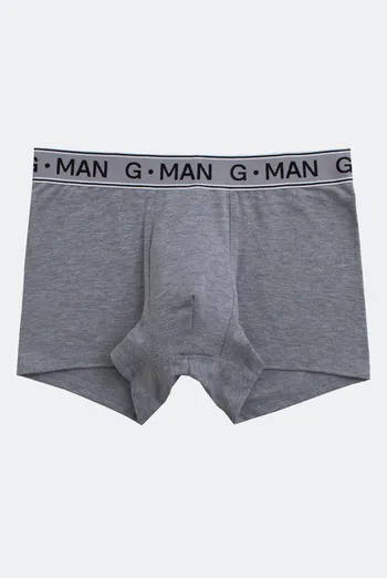 Мужские трусы боксеры G-man 20401/60 Giulia (light grey melange)