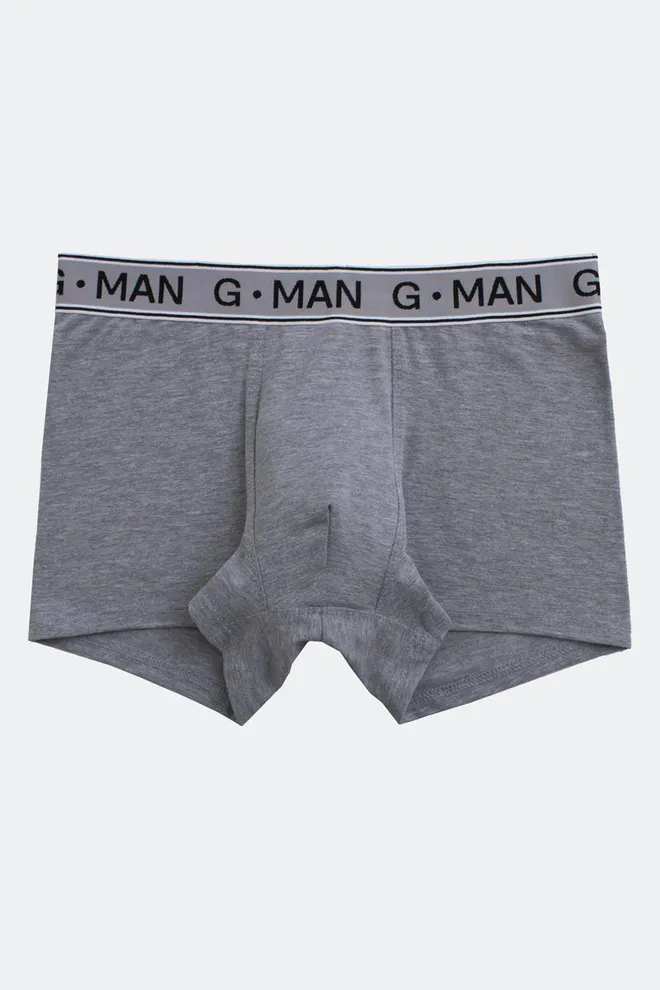 Чоловічі труси боксери G-man 20401/60 Giulia (light grey melange)