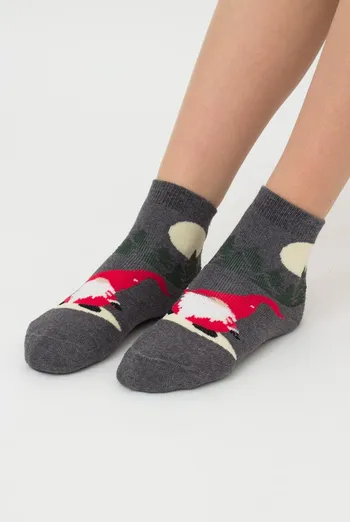 Шкарпетки дитячі з махрою Ks3m/te-006 Giulia (dark grey melange) Шкарпетки дитячі з махрою Ks3m/te-006 Giulia (dark grey melange)