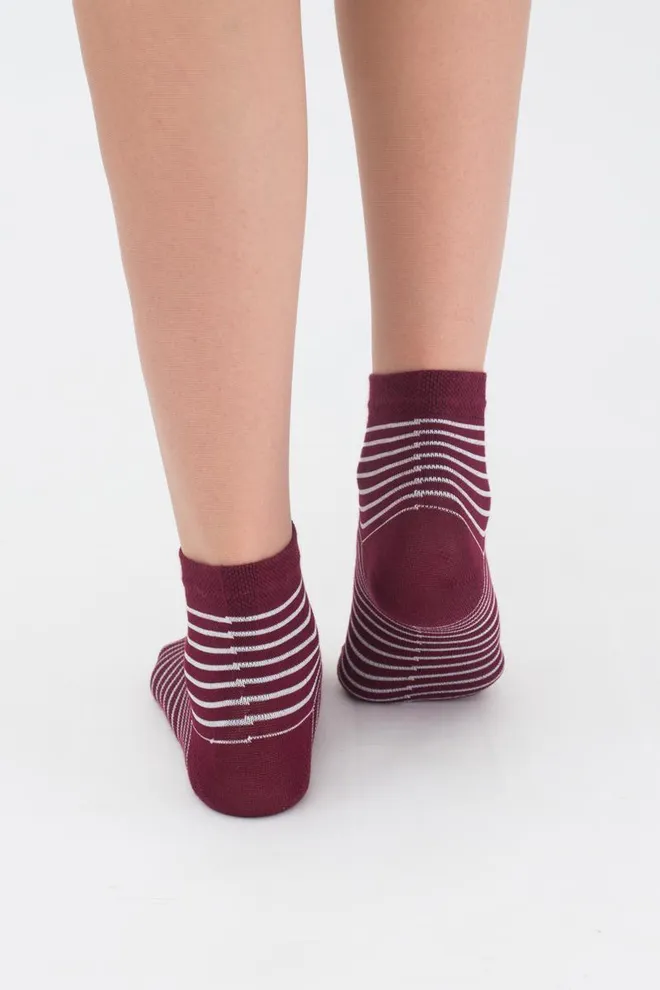 Шкарпетки дитячі короткі Ks2 classic + Ks2 basic 002 Giulia 2 пари (marsala)