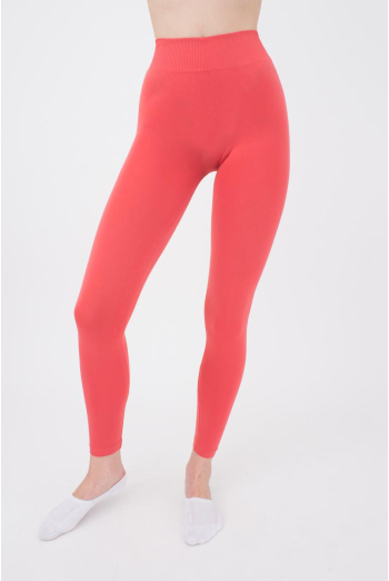 Бесшовные леггинсы из микрофибры LEGGINGS Giulia (burnt coral), оранжевый Бесшовные леггинсы из микрофибры LEGGINGS Giulia (burnt coral), оранжевый