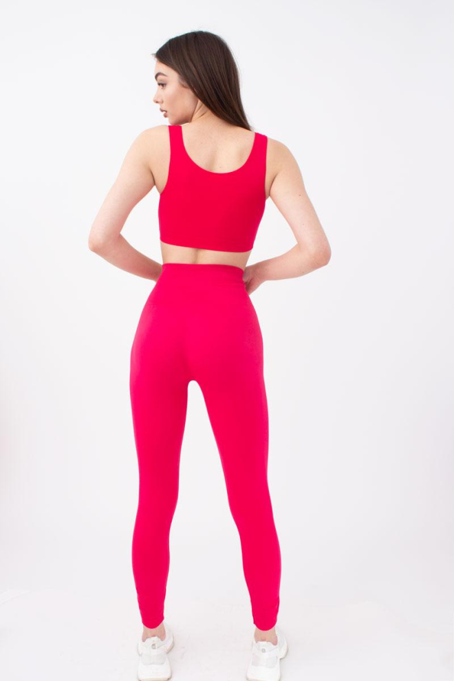 Спортивні безшовні легінси LEGGINGS ENERGY Giulia (raspberry sorbet), рожевий
