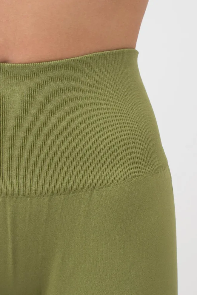 Спортивные бесшовные леггинсы LEGGINGS ENERGY Giulia (olive branch), зеленый