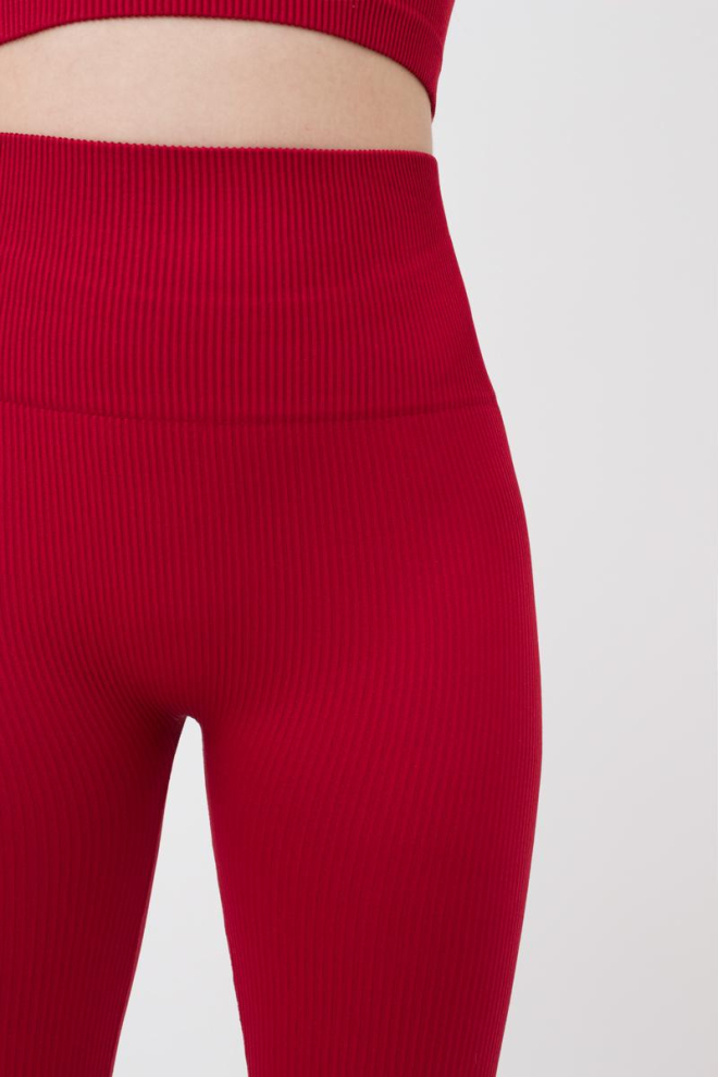 Леггинсы спортивные в рубчик с моделирующим швом LEGGINGS RIB Giulia (winery), бордовый