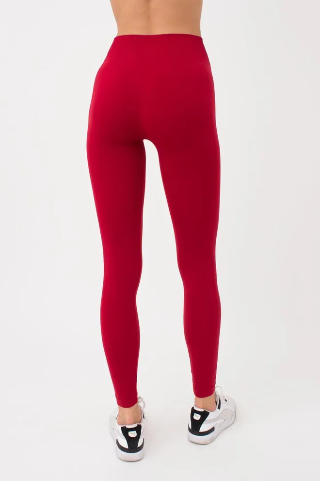 Безшовні легінси з мікрофібри LEGGINGS Giulia (winery), бордовий