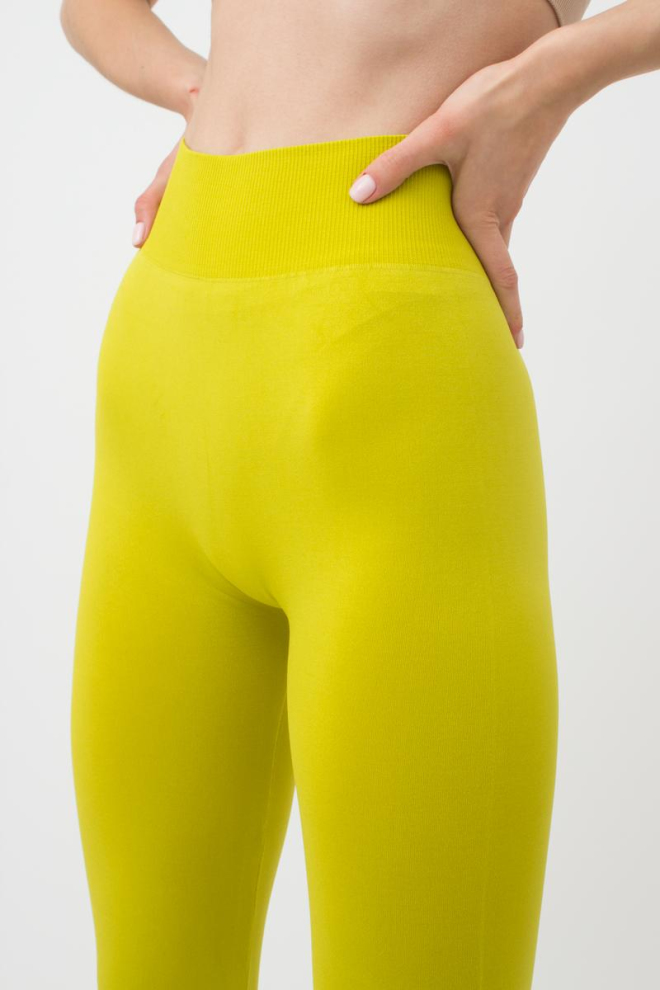 Бесшовные спортивные леггинсы из микрофибры LEGGINGS 02 Giulia (fragile sprout), зеленый