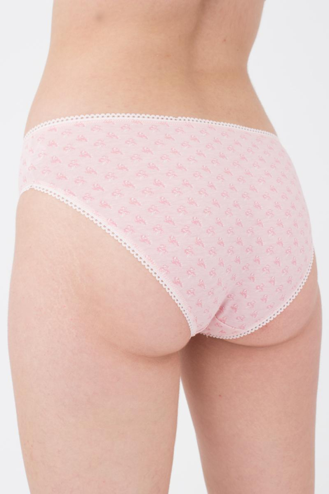 Жіночі труси сліпи Lily 2302/60 Giulia (pink flowers)