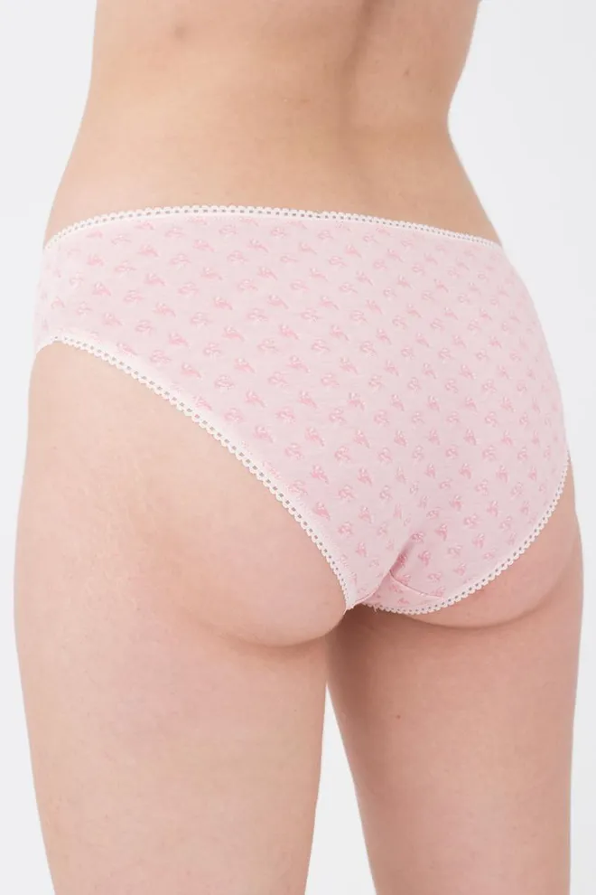 Женские трусы слипы Lily 2302/60 Giulia (pink flowers)