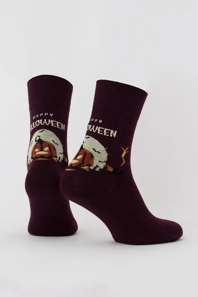 Носки мужские классические с рисунком Ms3 Halloween 007 Giulia (vintage grape)