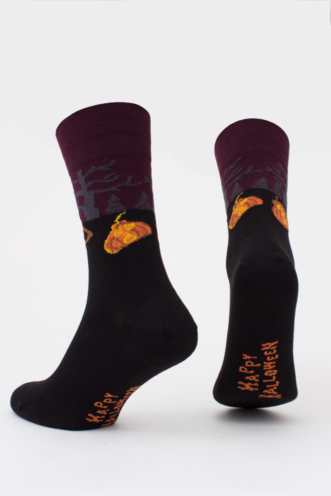 Шкарпетки чоловічі зі святковим малюнком Ms3 Halloween 2303 Giulia (vintage grape), фіолетовий