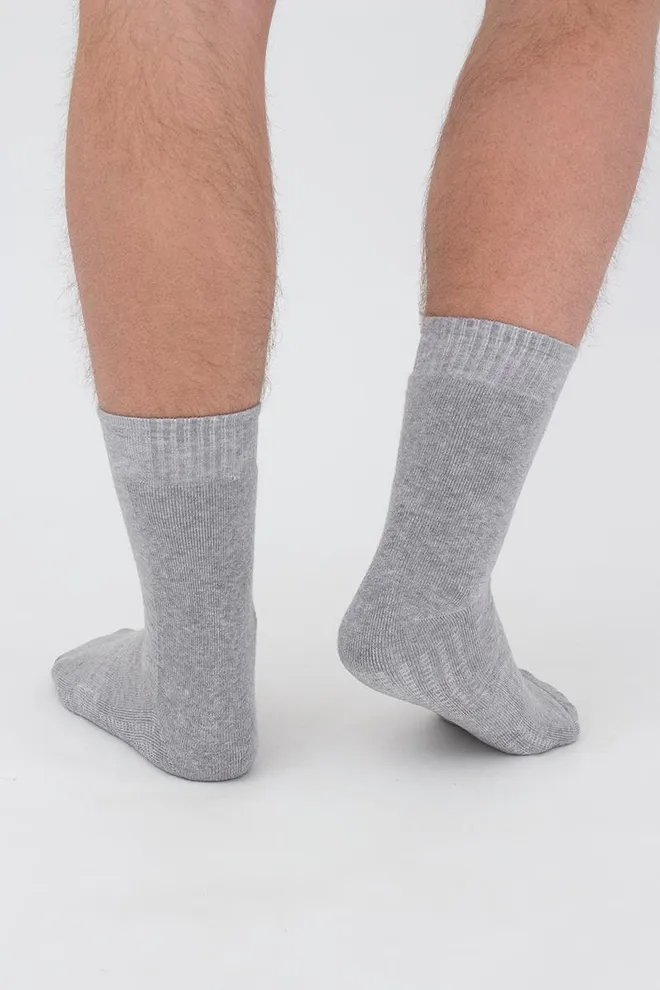 Шкарпетки чоловічі спортивні Ms3 terry sport 006 Giulia (light grey melange)