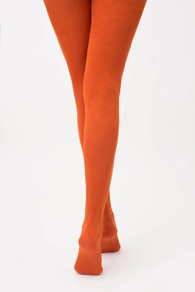 Колготки теплі з візерунком Salient 100 den model 2 Giulia (bombay brown)