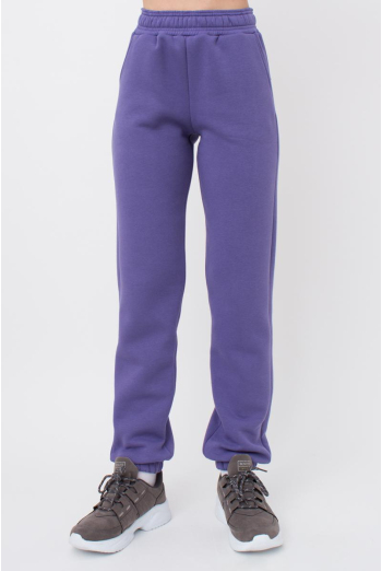 Штани теплі на флісі з манжетами SPORT STYLE 4312/170 Giulia (plum), фіолетовий Штани теплі на флісі з манжетами SPORT STYLE 4312/170 Giulia (plum), фіолетовий