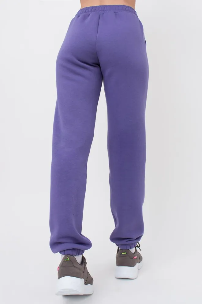 Штаны теплые на флисе с манжетами SPORT STYLE 4312/170 Giulia (plum), фиолетовый