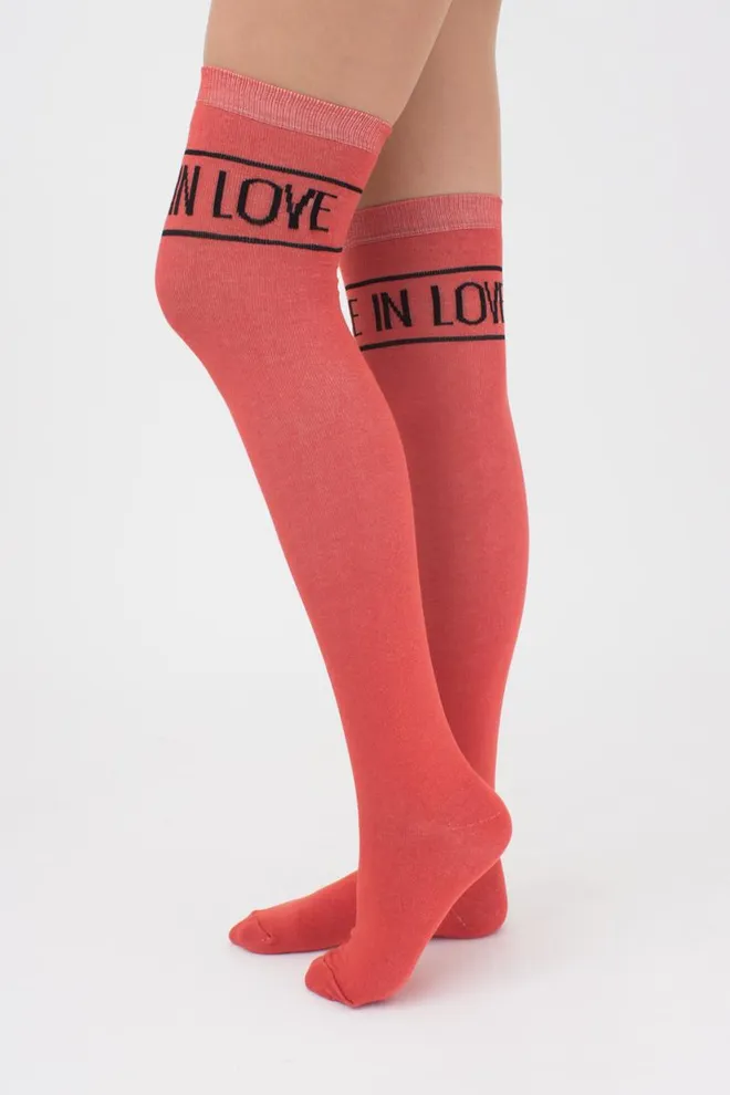 Гольфы ботфорты хлопковые с надписью WB1 text 002 Giulia (ginger)