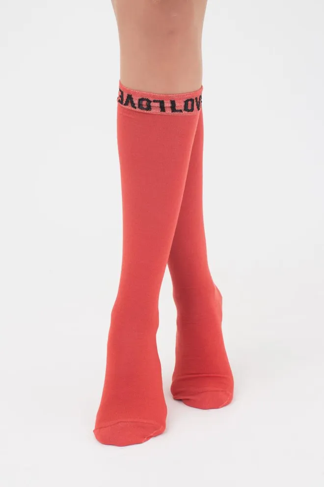 Гольфы ботфорты хлопковые с надписью WG1 text 002 Giulia (ginger)