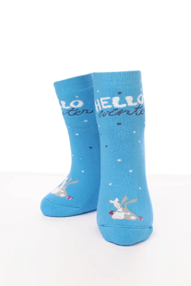 WS2C/Te-002 Жіночі махрові шкарпетки ТМ GIULIA  (blue)