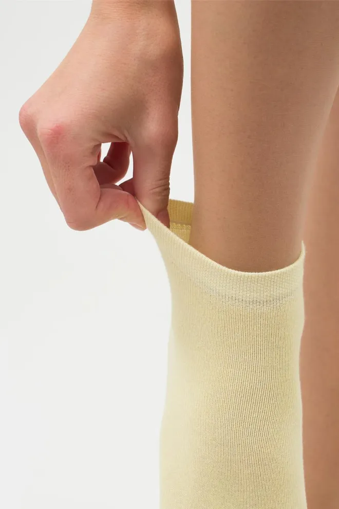 Шкарпетки жіночі низькі Ws2 classic Giulia 2 пари (pastel turquoise/light yellow)