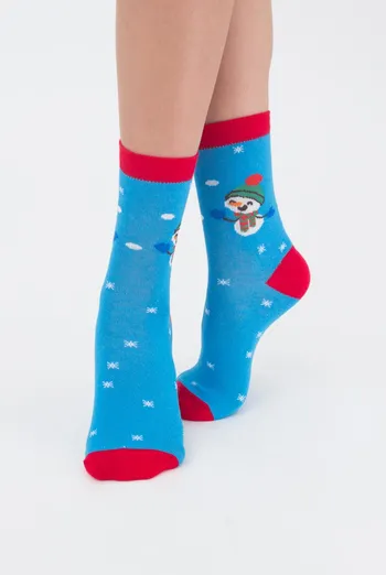 Носки женские классические Ws3c-new year-008 Giulia (blue)