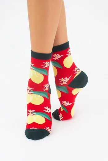 Носки женские классические с фруктами WS3 soft berry 002 Giulia (true red)