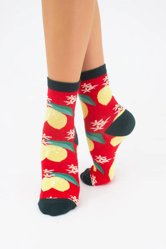 Шкарпетки жіночі класичні з фруктами WS3 soft berry 002 Giulia (true red)
