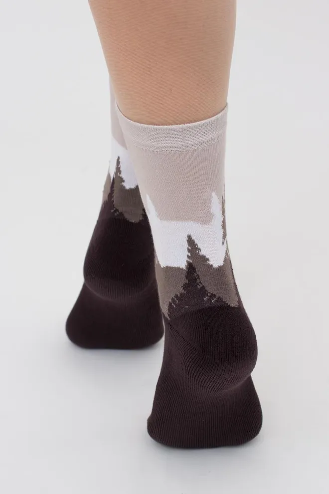 Шкарпетки жіночі теплі з малюнком Ws3 Terry 2302 Giulia (caffe)