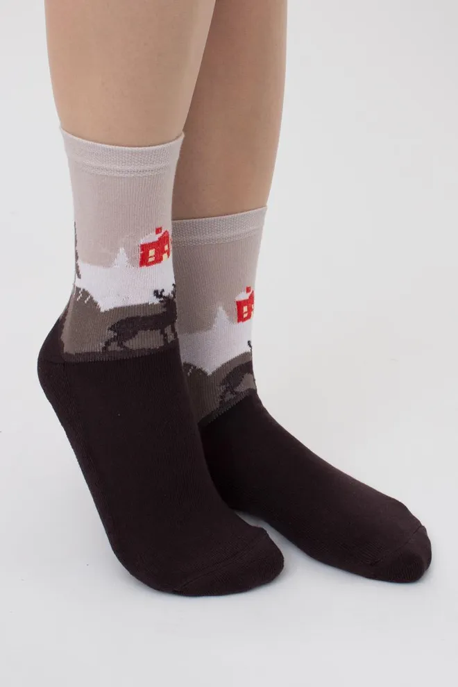 Шкарпетки жіночі теплі з малюнком Ws3 Terry 2302 Giulia (caffe)