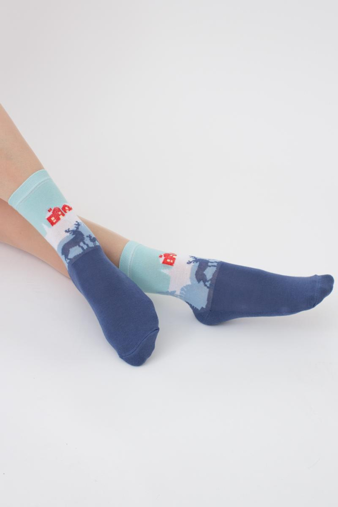 Шкарпетки жіночі теплі з малюнком Ws3 Terry 2302 Giulia (jeans)